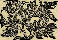 An illustration from Natalis Comitis Mythologiae sive Explicationis fabvlarvm libri decem, in qvibvs omnia prope natvralis et moralis philosophiæ dogmata in veterum fabulis contenta fuisse perspicuè demonstratur (1616)