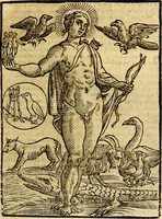 Picture 47 of 125 from Natalis Comitis Mythologiae sive Explicationis fabvlarvm libri decem, in qvibvs omnia prope natvralis et moralis philosophiæ dogmata in veterum fabulis contenta fuisse perspicuè demonstratur (1616), leaf 228