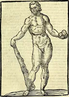 Picture 95 of 125 from Natalis Comitis Mythologiae sive Explicationis fabvlarvm libri decem, in qvibvs omnia prope natvralis et moralis philosophiæ dogmata in veterum fabulis contenta fuisse perspicuè demonstratur (1616), leaf 410