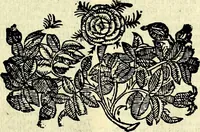 Picture 122 of 125 from Natalis Comitis Mythologiae sive Explicationis fabvlarvm libri decem, in qvibvs omnia prope natvralis et moralis philosophiæ dogmata in veterum fabulis contenta fuisse perspicuè demonstratur (1616), leaf 668