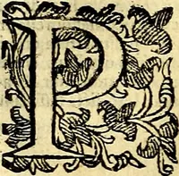 Picture 71 of 127 from Natalis Comitis Mythologiae, sive, Explicationis fabularum libri decem : in quibus omnia prope naturalis et moralis philosophiae dogmata in veterum fabulis contenta fuisse perspicuè demonstratur ... : accessit G. Linocerii Musarum mytholgia, & anonymi obseuationum in totam de dijs gentium narrationem libellus : adiectæ sunt ... editioni elegantissimæ deorum imagines, & eruditissimæ M. Antonij Tritonij Vtinensis .. (1637), leaf 273