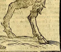An illustration from Natalis Comitis Mythologiae, sive, Explicationis fabularum libri decem : in quibus omnia prope naturalis et moralis philosophiae dogmata in veterum fabulis contenta fuisse perspicuè demonstratur ... : accessit G. Linocerii Musarum mytholgia, & anonymi obseuationum in totam de dijs gentium narrationem libellus : adiectæ sunt ... editioni elegantissimæ deorum imagines, & eruditissimæ M. Antonij Tritonij Vtinensis .. (1637)