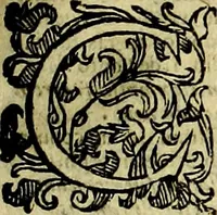 An illustration from Natalis Comitis Mythologiae, sive, Explicationis fabularum libri decem : in quibus omnia prope naturalis et moralis philosophiae dogmata in veterum fabulis contenta fuisse perspicuè demonstratur ... : accessit G. Linocerii Musarum mytholgia, & anonymi obseuationum in totam de dijs gentium narrationem libellus : adiectæ sunt ... editioni elegantissimæ deorum imagines, & eruditissimæ M. Antonij Tritonij Vtinensis .. (1637)