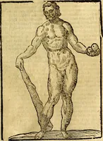 An illustration from Natalis Comitis Mythologiae, sive, Explicationis fabularum libri decem : in quibus omnia prope naturalis et moralis philosophiae dogmata in veterum fabulis contenta fuisse perspicuè demonstratur ... : accessit G. Linocerii Musarum mytholgia, & anonymi obseuationum in totam de dijs gentium narrationem libellus : adiectæ sunt ... editioni elegantissimæ deorum imagines, & eruditissimæ M. Antonij Tritonij Vtinensis .. (1637)