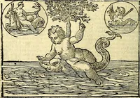 An illustration from Natalis Comitis Mythologiae, sive, Explicationis fabularum libri decem : in quibus omnia prope naturalis et moralis philosophiae dogmata in veterum fabulis contenta fuisse perspicuè demonstratur ... : accessit G. Linocerii Musarum mytholgia, & anonymi obseuationum in totam de dijs gentium narrationem libellus : adiectæ sunt ... editioni elegantissimæ deorum imagines, & eruditissimæ M. Antonij Tritonij Vtinensis .. (1637)