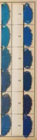 An illustration from National acid dyes on wool / manufactured by National Aniline & Chemical Co., Inc. (1917)