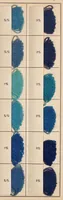 An illustration from National acid dyes on wool / manufactured by National Aniline & Chemical Co., Inc. (1917)