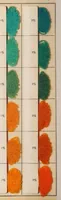 An illustration from National acid dyes on wool / manufactured by National Aniline & Chemical Co., Inc. (1917)