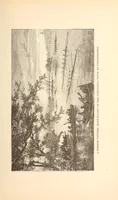 An illustration from The national encyclopædia of business and social forms, embracing the laws of etiquette and good society (1879)