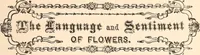 Picture 77 of 102 from The national encyclopædia of business and social forms, embracing the laws of etiquette and good society (1879), leaf 386