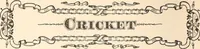 Picture 91 of 102 from The national encyclopædia of business and social forms, embracing the laws of etiquette and good society (1879), leaf 567