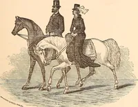Picture 21 of 102 from The national encyclopædia of business and social forms, embracing the laws of etiquette and good society (1879), leaf 76