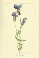 An illustration from The National geographic magazine (1888)