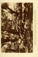 An illustration from The National geographic magazine (1888)