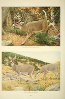 An illustration from The National geographic magazine (1888)