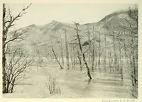 Picture 2 of 13 from The National geographic magazine (1888), leaf 62