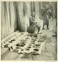 Picture 8 of 17 from The National geographic magazine (1888), leaf 238