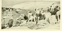 Picture 14 of 14 from The National geographic magazine (1888), leaf 575