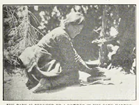 An illustration from Native Navajo dyes (1903)