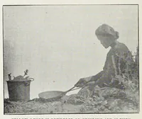 An illustration from Native Navajo dyes (1903)