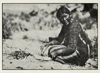 An illustration from Native Navajo dyes (1903)