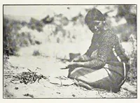 An illustration from Native Navajo dyes (1903)