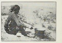 An illustration from Native Navajo dyes (1903)