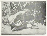 An illustration from Native Navajo dyes (1903)