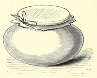 An illustration from Natural history and antiquities of Selborne (1875)