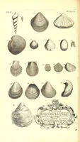 Picture 6 of 12 from The natural history of Oxford-shire : being an essay toward the natural history of England (1677), leaf 138