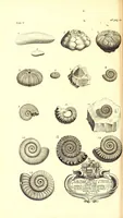 Picture 7 of 12 from The natural history of Oxford-shire : being an essay toward the natural history of England (1677), leaf 146