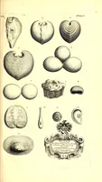 Picture 9 of 12 from The natural history of Oxford-shire : being an essay toward the natural history of England (1677), leaf 169