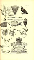An illustration from The natural history of Oxford-shire : being an essay toward the natural history of England (1677)