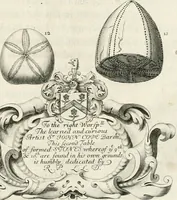 Picture 11 of 43 from The natural history of Oxford-shire : being an essay toward the natural history of England (1677), leaf 116