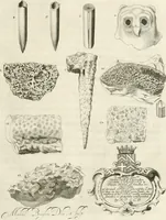 Picture 15 of 43 from The natural history of Oxford-shire : being an essay toward the natural history of England (1677), leaf 126