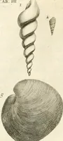 Picture 16 of 43 from The natural history of Oxford-shire : being an essay toward the natural history of England (1677), leaf 133