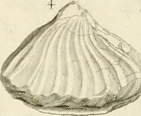 Picture 18 of 43 from The natural history of Oxford-shire : being an essay toward the natural history of England (1677), leaf 133
