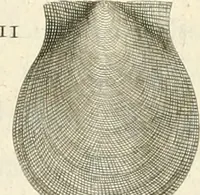 Picture 20 of 43 from The natural history of Oxford-shire : being an essay toward the natural history of England (1677), leaf 133