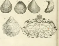 Picture 21 of 43 from The natural history of Oxford-shire : being an essay toward the natural history of England (1677), leaf 133
