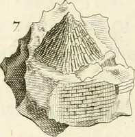 Picture 25 of 43 from The natural history of Oxford-shire : being an essay toward the natural history of England (1677), leaf 141