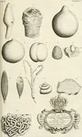 Picture 27 of 43 from The natural history of Oxford-shire : being an essay toward the natural history of England (1677), leaf 158