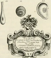 Picture 31 of 43 from The natural history of Oxford-shire : being an essay toward the natural history of England (1677), leaf 164