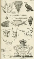 Picture 34 of 43 from The natural history of Oxford-shire : being an essay toward the natural history of England (1677), leaf 252
