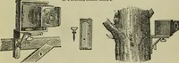 An illustration from Naturalistic photography for students of the art (1889)