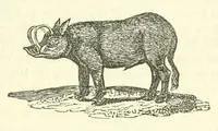 Picture 6 of 18 from The naturalist's library : containing scientific and popular descriptions of man, quadrupeds, birds, fishes, reptiles and insects (1854), leaf 307