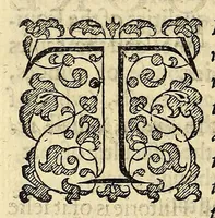 An illustration from The naturall and moral historie of the East and West Indies. : intreating of the remarkeable things of heaven, of the elements ... which are proper to that country : together with the manners, ceremonies ... of the Indians. (1604)