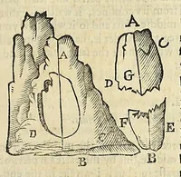 An illustration from Natural magick (1658)