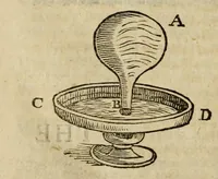 An illustration from Natural magick (1658)