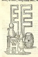 An illustration from Natural magick by John Baptista Porta, a Neapolitane : in twenty books : wherein are set forth all the riches and delights of the natural sciences (1658)
