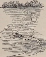 An illustration from A natural philosophy : embracing the most recent discoveries in the various branches of physics, and exhibiting the application of scientific principles in everyday life .. (1899)